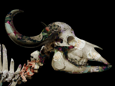 Beautiful Bones art bones photo manipulation print skull