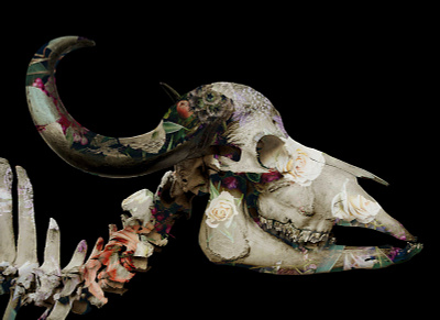 Beautiful Bones art bones photo manipulation print skull