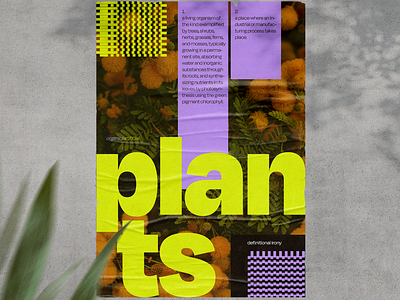 Plants Definition Poster