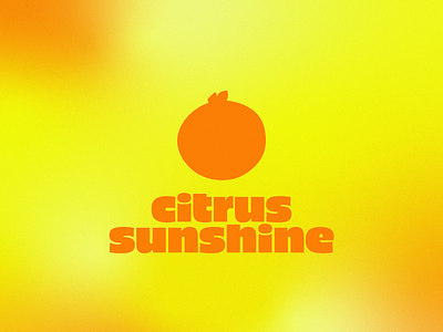 Citrus Sunshine branding cafe citrus eco ethical food friendly gradient grain green icon logo logo design orange sunshine sustainable typography vector vegan