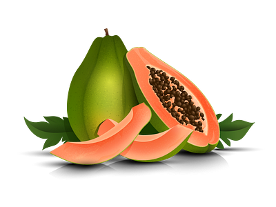 Jali Fruit Co. Papaya Illustration