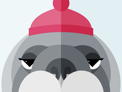 Walrus Illustration / Close-up animal beanie geometric hat illustration nose nostrils symmetrical tusks walrus