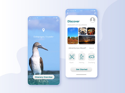 Galapagos Islands' Wonders app app design galapagos graphic design travel travel app traveling trip planner ui ui design ux vector