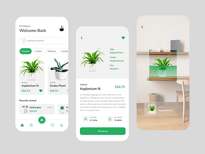 Plant Identification App Exploration design exploration flower green herbivora identification madewithfigma plant scan tree ui uidesign uidesigner uiux ux uxdesign uxdesigner