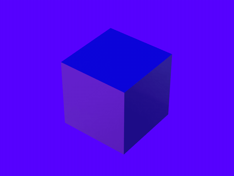 Dribbble 2