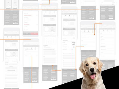 DOGGYBELL - Wireframing - UI/UX Design