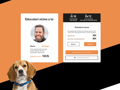 DOGGYBELL - Wireframing - UI/UX Design app booking booking app business cost daily ui dashboad dog form identity landing page logo message pay paycheck pet ui ux web wish list