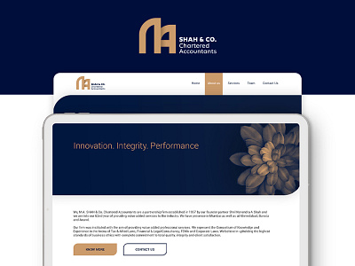 M A Shah Landing Page Design Concept