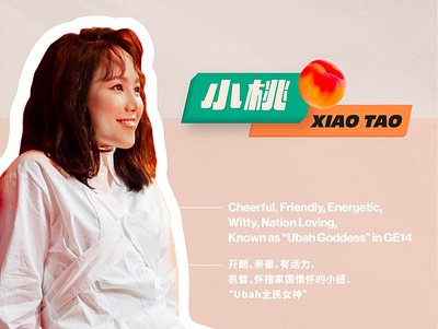 Xiao Tao Personal Branding art direction brand brand design branding design identity design illustration logo visual identity