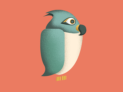Little bird bird illustration