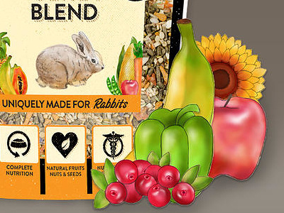 Ecotrition Ultra Blend - Illustrations aged bold brand design ecotrition graphic design hand illustrated illustration natural packaging texture