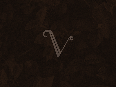 Vital | Visual Identity brand design brand identity branding coffee coffeeshop design hand drawn logo logodesign luxury logo visual identity