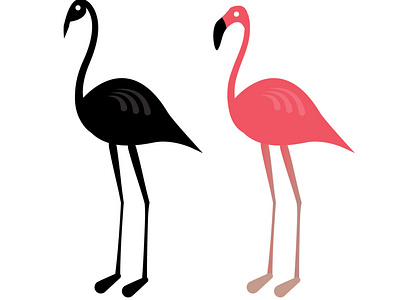 Flamingos