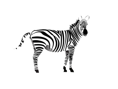 Zebra Vector Art adobe animal branding illustration illustrator logo vector zebra zoo