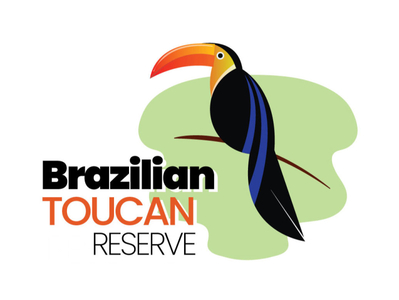 Brazilian Toucan logo by Jafar Sadik on Dribbble