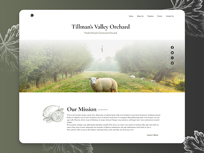 Concept - Tillman's Valley Orchard figma figma design illustration landing page logo ui design web design