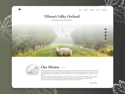 Concept - Tillman's Valley Orchard