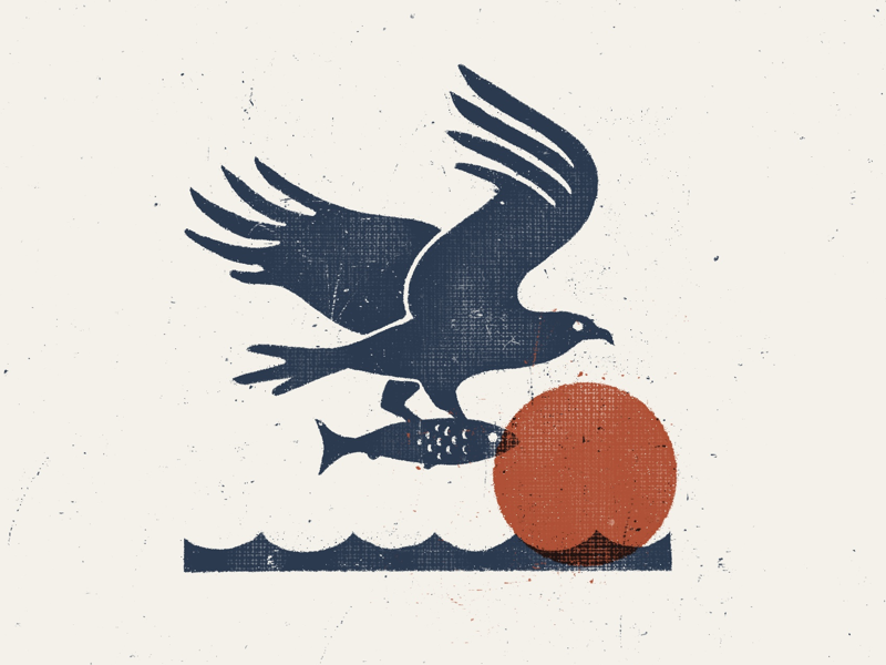 Dinner For One procreate wildlife fishing illustration texture vintage hunting minimal sun fish bird fly hawk