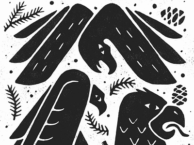 Birds of Prey bird bold doodle drawing eagles hawk illustration minimal pine pinecone wings