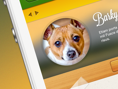 Pet App app dog interface ios modern pet puppies ui user ux wood