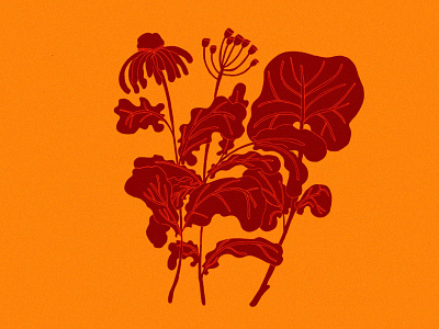 Botanic Pt. 1 artwork botanic botanical botanicaldrawing botanicalillustration digitalillustration drawing flowers illustration