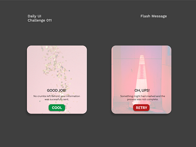 Daily UI #011 - Flash Message dailyui design flash flash message message minimal ui ux