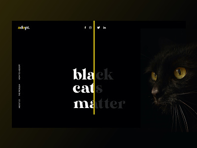 Black cats matter too adoption black cats landing page