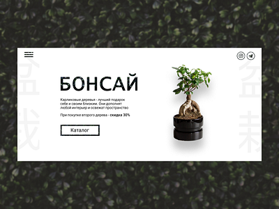 Bonsai design main screen webdesign webdesigner website concept