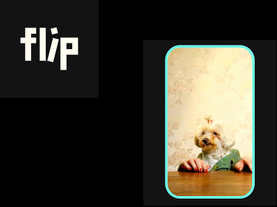 Viber - Flip App brand brand design brand identity branding illustration sub branding ui