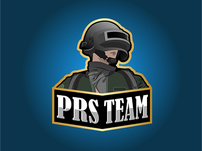 PRS TEAM gaming profile cover