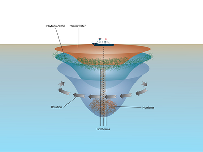 Ocean Layers Illustration