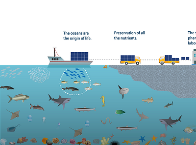 Ocean Life illustration illustration infographic life ocean