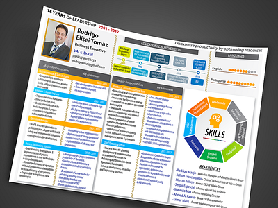 Resume Infographic style design