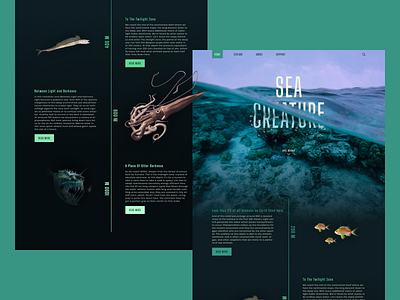 Sea Creature - Landing Page animal blue deep design fish knowledge kurzgesagt landing page ocean photoshop sea shot squid ui wave web