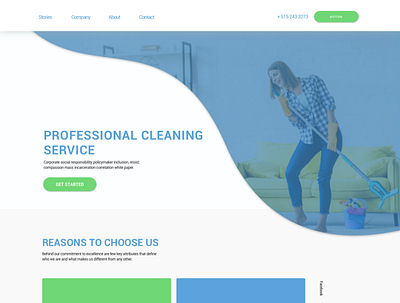 Home Cleaning Service Website - Springboard Exercise webdesign webpage