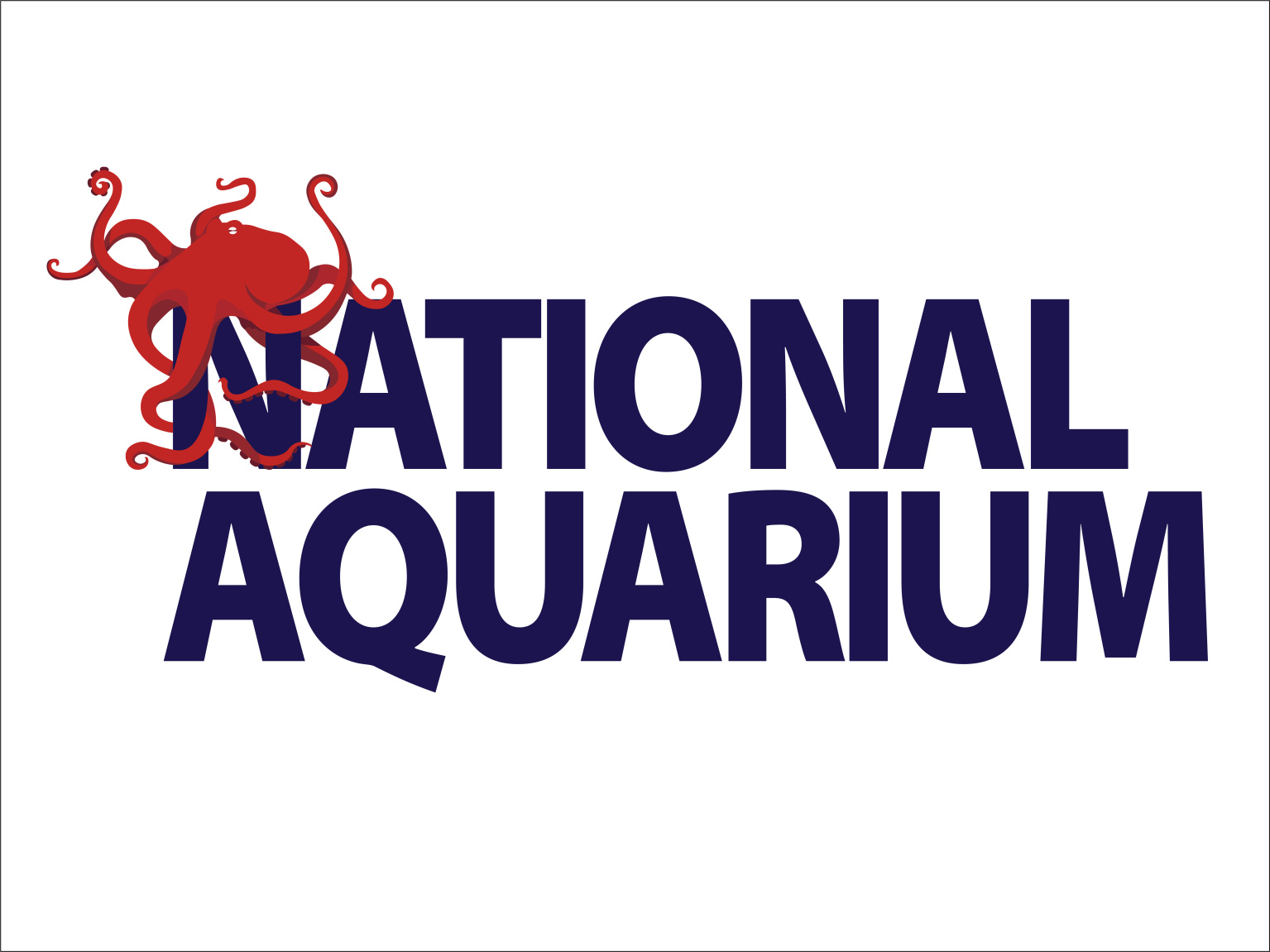 National Aquarium Octopus Logo by Taryn Lewis on Dribbble