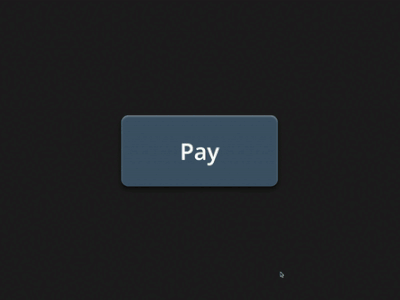 Pay Button Micro-animation