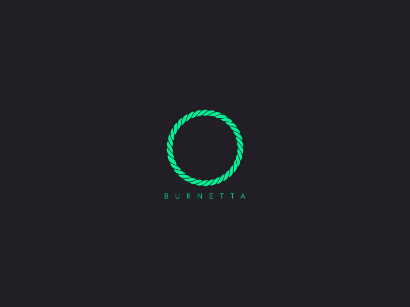 Logo Intro Animation