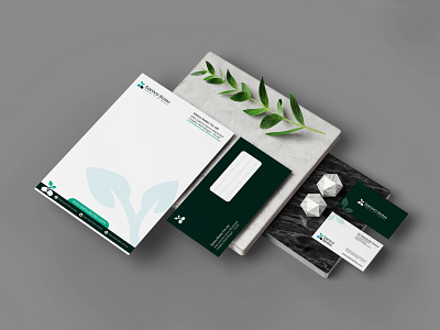 Sanivo Biotec branding graphic design graphicdesign logo pharmacy