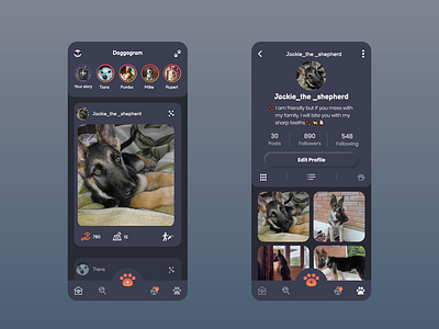 Dog App Design