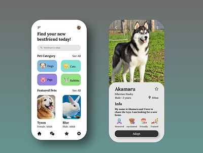 Pets Adoption App adobexd adoption app app design pet adoption pet animal pet app pet care pet shop ui ui design ux