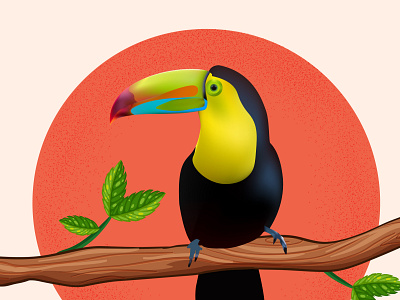 Vector illustration of a bright tropical bird Toucan on a floral colorful cute illustration