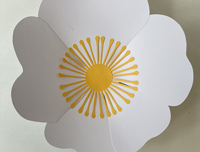 Paper Flowers art contemporarydesign design flowers illustration interiordesign nature paper sculpture