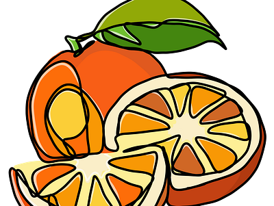 Oranges art color design drawing fruits illustration orange stylish