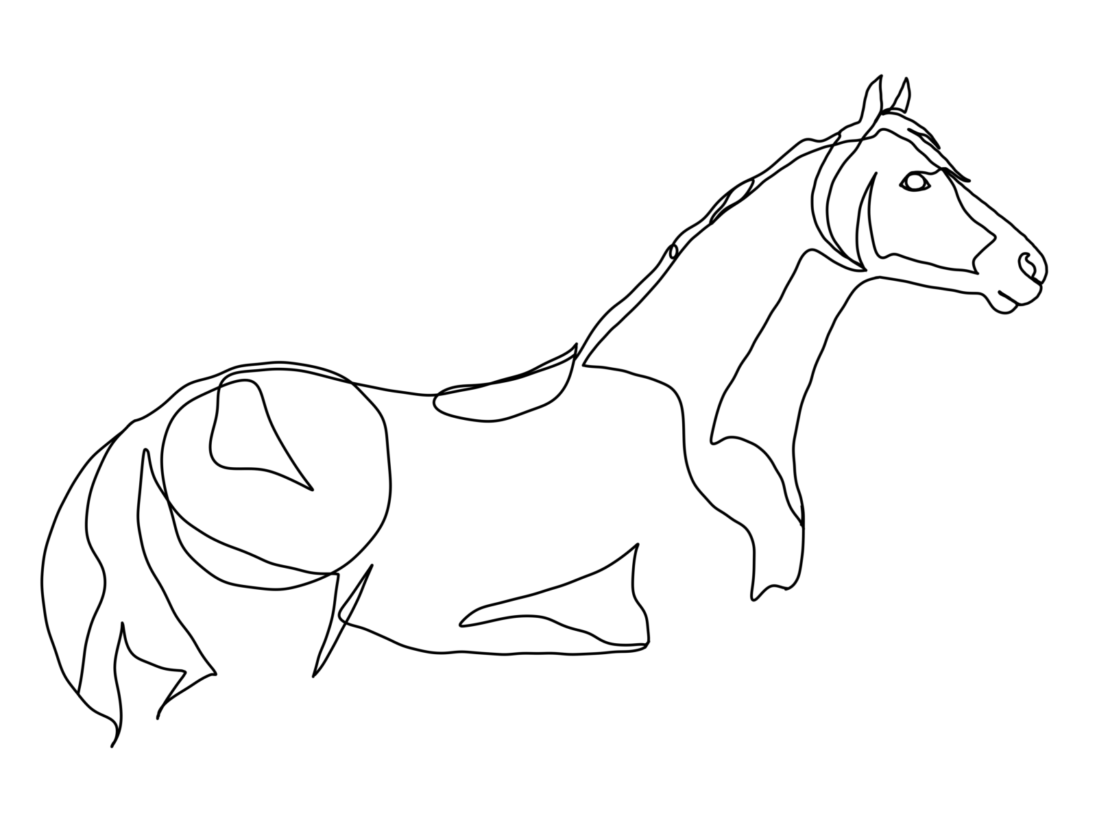 Buy CUSTOM HORSE Portrait One Line Drawing Horse and Rider Gift Online in  India  Etsy