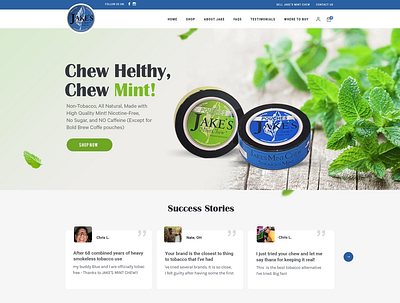 Chew Mint design graphic photoshop uxui web
