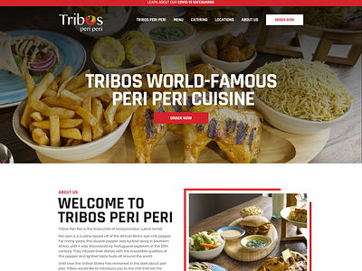 Food Website branding graphic design photoshop ui wev