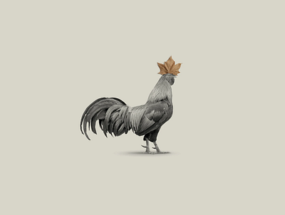 The rooster and the leaf graphic design minimalism poster design