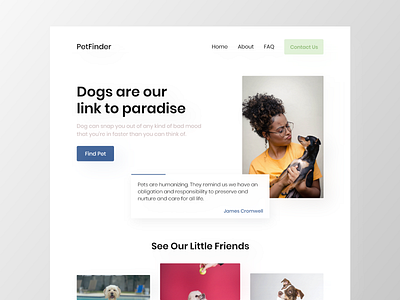 PetFinder App Design finder finding pet pet care pets petshop petstore webdesign website