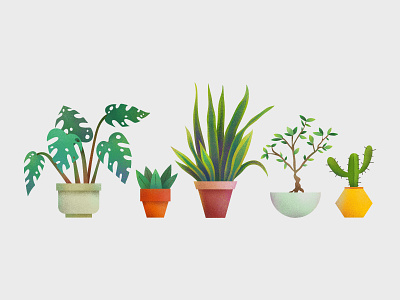 Indoor Plants! garden illustration plants texture vector